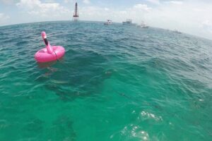 3 Hour Private Snorkeling in Marathon Florida - Sombrero Lighthouse or Coffins Patch: where you’ll snorkel