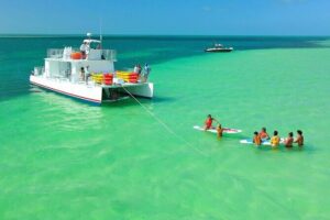 All-Inclusive Sandbar Safari with Dolphin Playground Encounter - Stop 2: Jewfish Basin sandbar time for snorkel, swim, and lounging