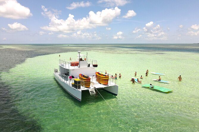 All-Inclusive Sandbar Safari with Dolphin Playground Encounter - Crew energy and safety: the people who make the trip feel smooth