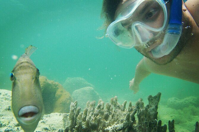 Biologist Owned & Operated: Dolphin Watching & Guided Snorkeling - Snacking and the Eco-Minded Touch (No Alcohol, Fresh Fuel)