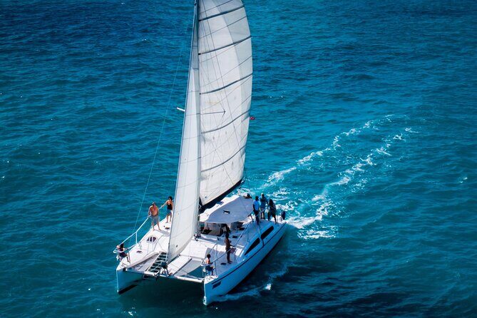 Champagne Dolphin Sail and Reef Snorkel - Key moments I’d plan around