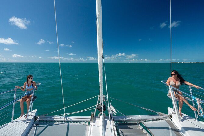 Champagne Dolphin Sail and Reef Snorkel - The catamaran cruise: watching wild dolphins on the move