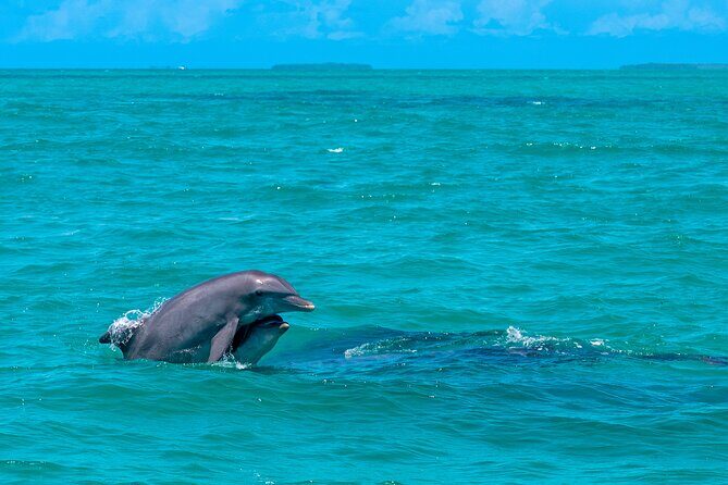 Champagne Dolphin Sail and Reef Snorkel - Guides Bailey and Micah: why small-group leadership matters