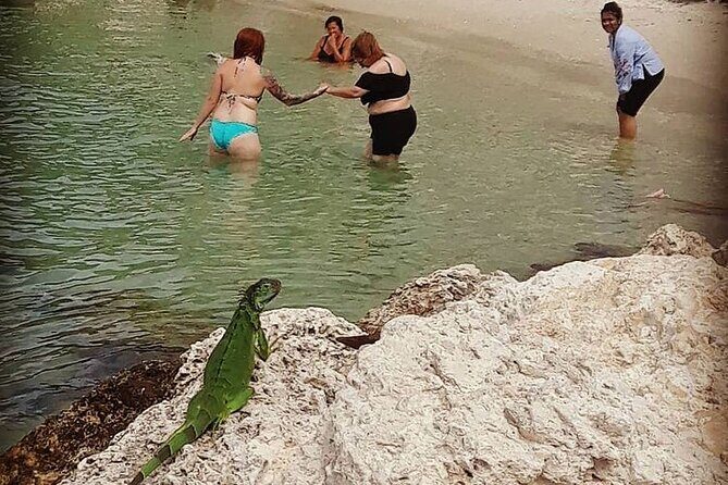 Cruise Through Key West's Black History Audio Tour - Getting oriented fast: Start at Mallory Square, end at Truman Waterfront