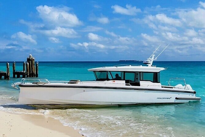 Dry Tortugas National Park Day Trip by Luxury Private Boat - Yankee Freedom Ferry Segment: The Timing Bridge