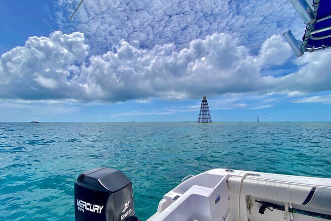 Explore the Waters of Key West - What you’ll see from the boat: fish, turtles, rays, and more