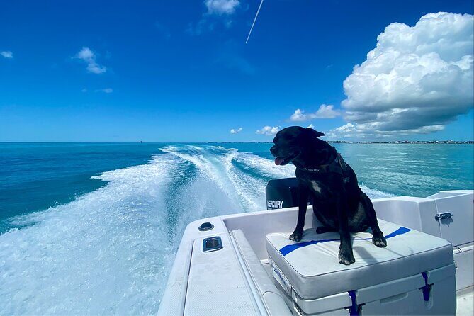 Explore the Waters of Key West - Stop-by-stop route: Florida Keys to Sand Key Reef to Boca Grande to Western Dry Rocks