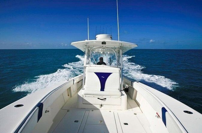 Fishing Charters in Key West Florida - A Practical Timeline for Your 4 Hours on the Water