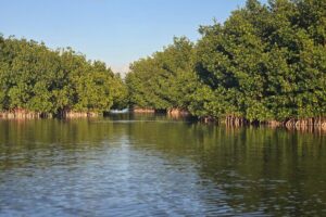 Florida Keys Kayak And Paddleboard Rentals - 2 Hours on the Water: What the Timing Feels Like