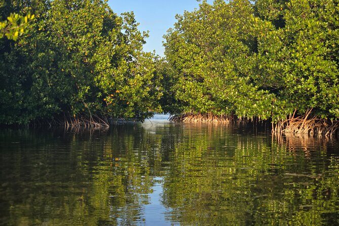 Florida Keys Kayak And Paddleboard Rentals - Staff at Geiger Key Paddle Hut: When the Human Touch Makes It Better