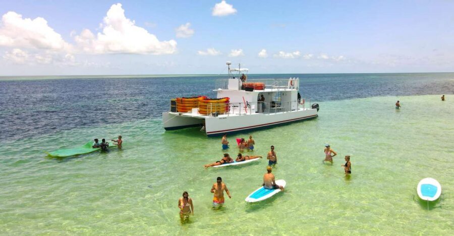From Key West: Dolphin Watching Tour with Lunch & Drinks - Key highlights worth your time