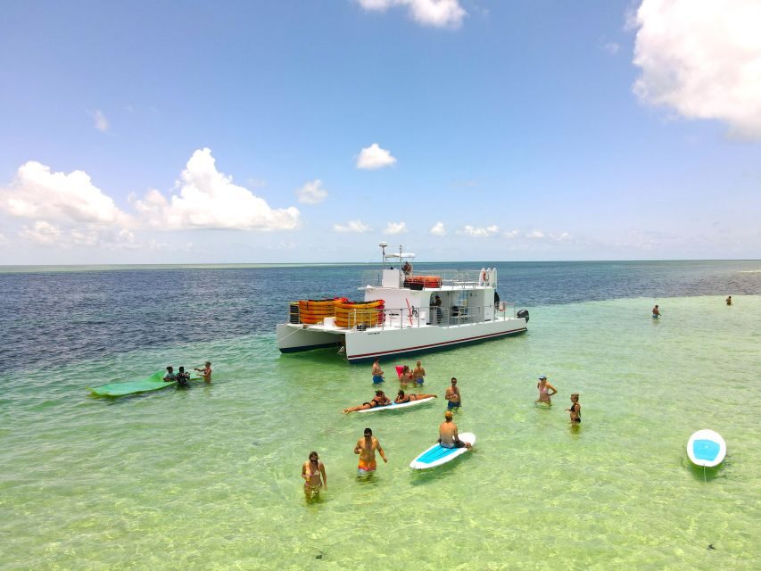 From Key West: Dolphin Watching Tour with Lunch & Drinks - The Key West departure: starting with Gulf views, not rushing