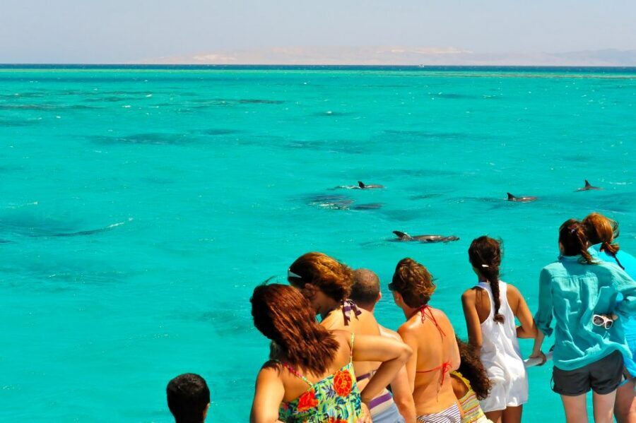 From Key West: Dolphin Watching Tour with Lunch & Drinks - The sandbar stop: where the day turns from cruise to beach day