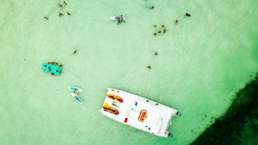 From Key West: Dolphin Watching Tour with Lunch & Drinks - Who this tour is best for (and who should think twice)