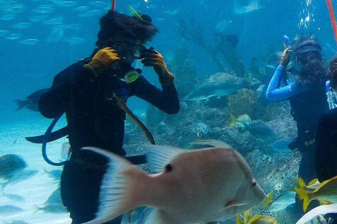Full-Day Tour of Florida Keys Including Aquarium Encounters from Key West - Why This Key West Day Tour Works (Even If You’ve Only Got One Day)