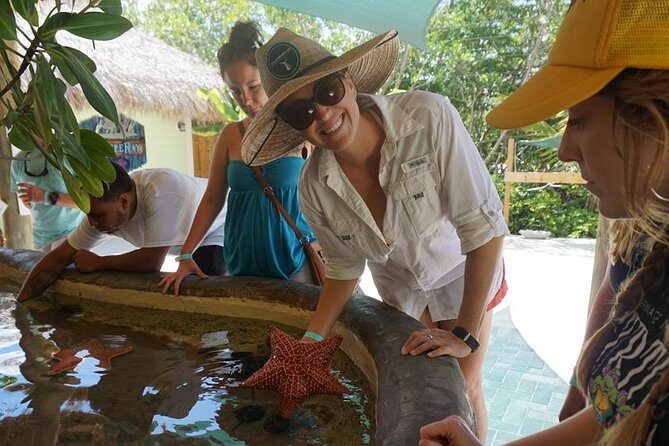 Full-Day Tour of Florida Keys Including Aquarium Encounters from Key West - Overseas Highway: Seven Mile Bridge Views Without the Driving