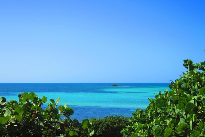 Full-Day Tour of Florida Keys Including Aquarium Encounters from Key West - Timing, Start Time, and What To Pack
