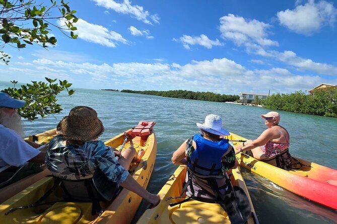 Guided Mangrove Eco Tours Kayak or Paddleboard Adventure - Kayak vs Paddleboard in Key West Mangroves