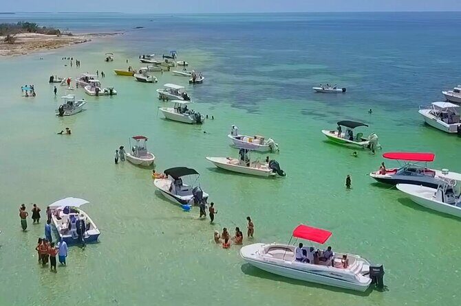 Half Day Charter Sandbar Snorkeling and Eco Adventure - Key Highlights You’ll Actually Care About