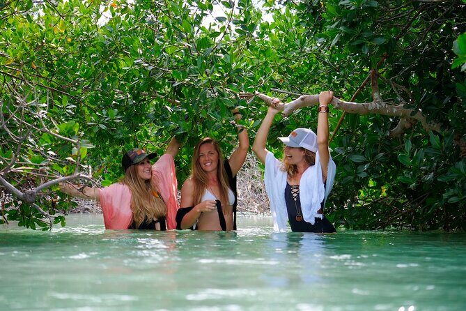 Half Day Charter Sandbar Snorkeling and Eco Adventure - Boat Day Basics: Where You Go and What the Timing Looks Like