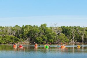 Half-Day Morning Trip from Key West with Kayaking and Snorkeling - Front Street to the Water: What Your Morning Looks Like
