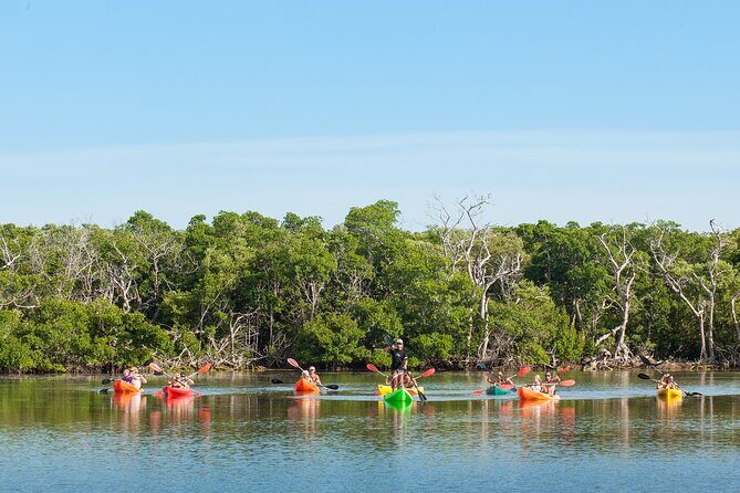 Half-Day Morning Trip from Key West with Kayaking and Snorkeling - Front Street to the Water: What Your Morning Looks Like