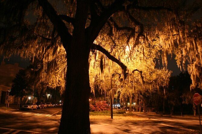 Hemingway Tour - A Night Hemingway Walk That Makes Key West Click