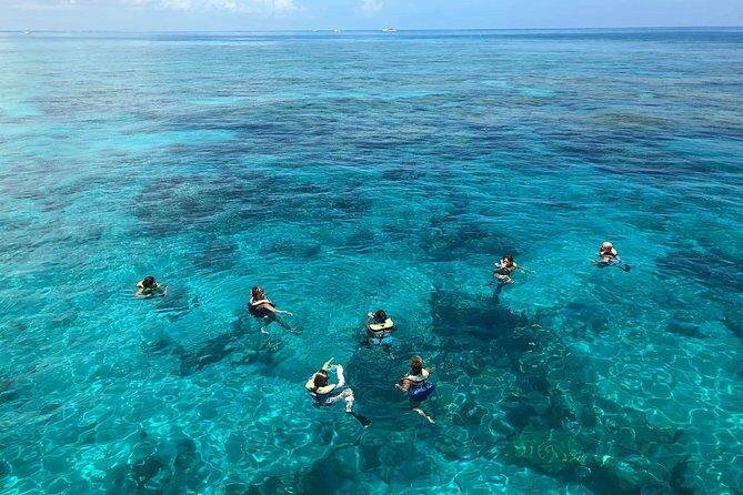 Key West 2 Reef Snorkel Tour & Sunset Cruise with Beer & Wine - Snorkeling gear and crew support that keep it friendly