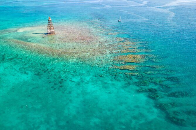 Key West 2 Reef Snorkel Tour & Sunset Cruise with Beer & Wine - What wildlife you might see, and why it changes day to day