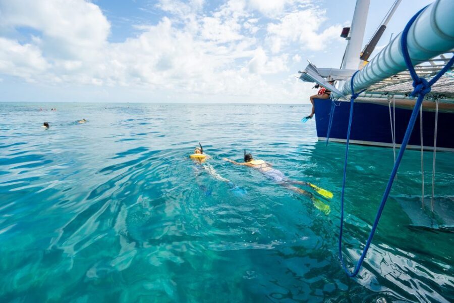 Key West: Afternoon Reef Snorkel Tour with Open Bar - Sebago Watersports Catamaran Comfort and the Open-Bar Bonus