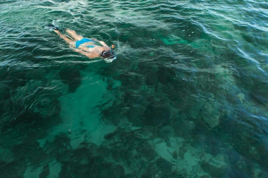 Key West Afternoon Sail, Snorkel, Kayak & Sunset Excursion - What’s Included (So You Don’t Pay Twice)