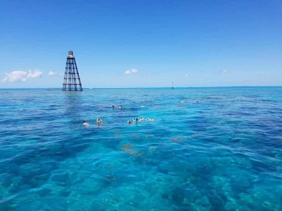 Key West: Catamaran Snorkel with Seafood Boil and Open Bar - Why a catamaran snorkel with food and drinks feels so much better
