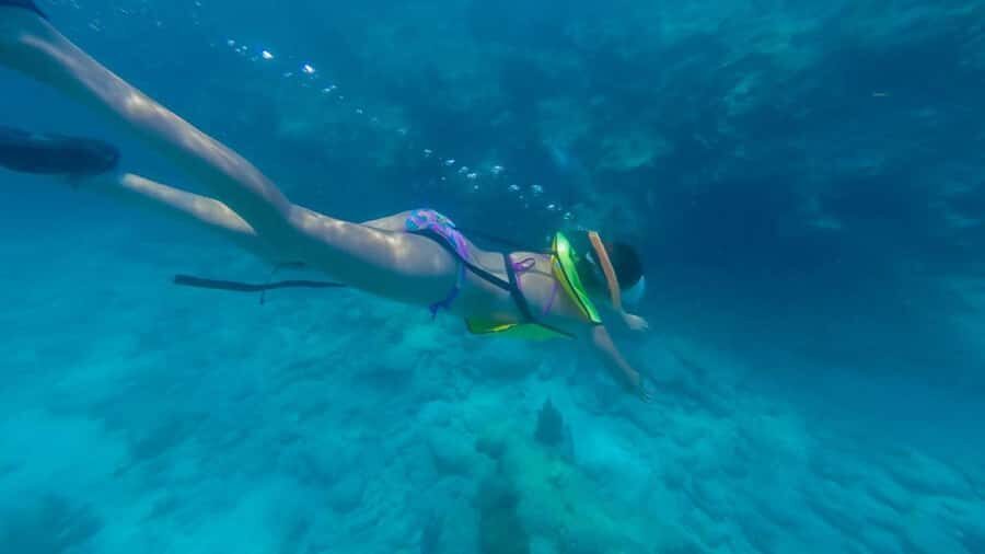 Key West: Catamaran Snorkel with Seafood Boil and Open Bar - Snorkeling at two Key West locations with gear and real instruction