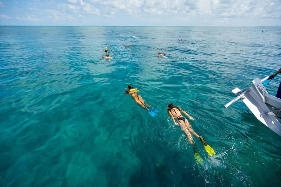 Key West: Catamaran Snorkel with Seafood Boil and Open Bar - Who this is best for (and who should skip it)