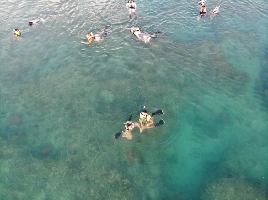 Key West: Dolphin & Reef Snorkel Trip with Sunset Option - Should you book Key West Dolphin & Reef Snorkel with Sunset option?