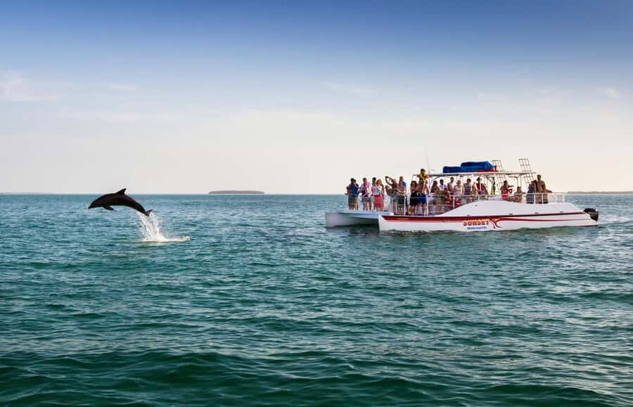 Key West: Dolphin & Reef Snorkel Trip with Sunset Option - Guide style and safety: keep expectations grounded