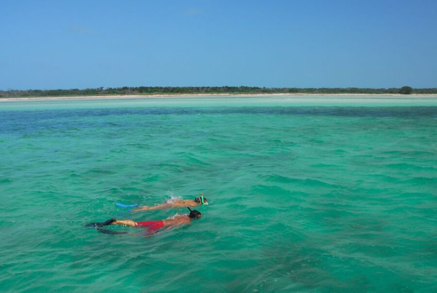 Key West: Dolphin Watching and Snorkeling Eco Cruise Tour - Price and value: is $80 fair for Key West dolphin and snorkel time?