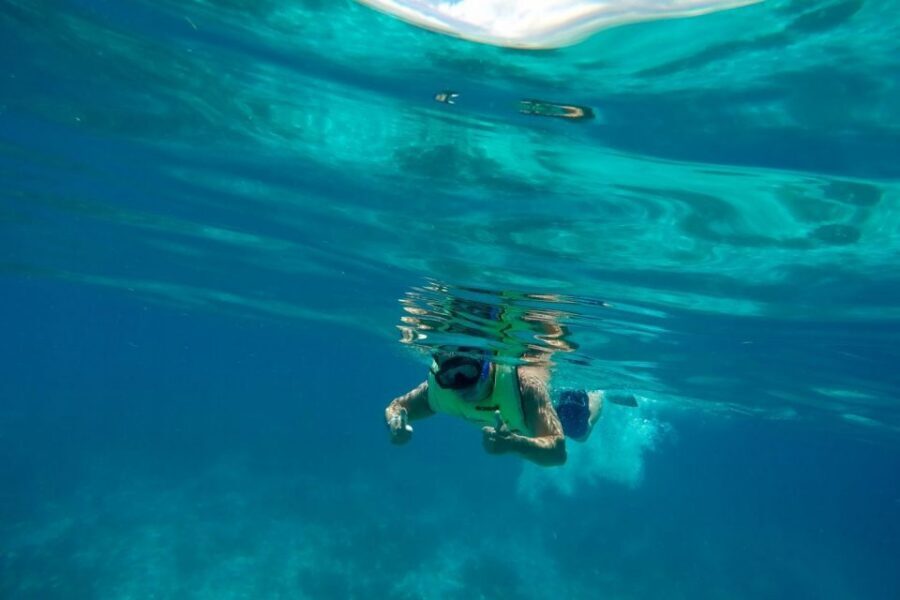 Key West: Dolphin Watching and Snorkeling Sunset Cruise - FAQ