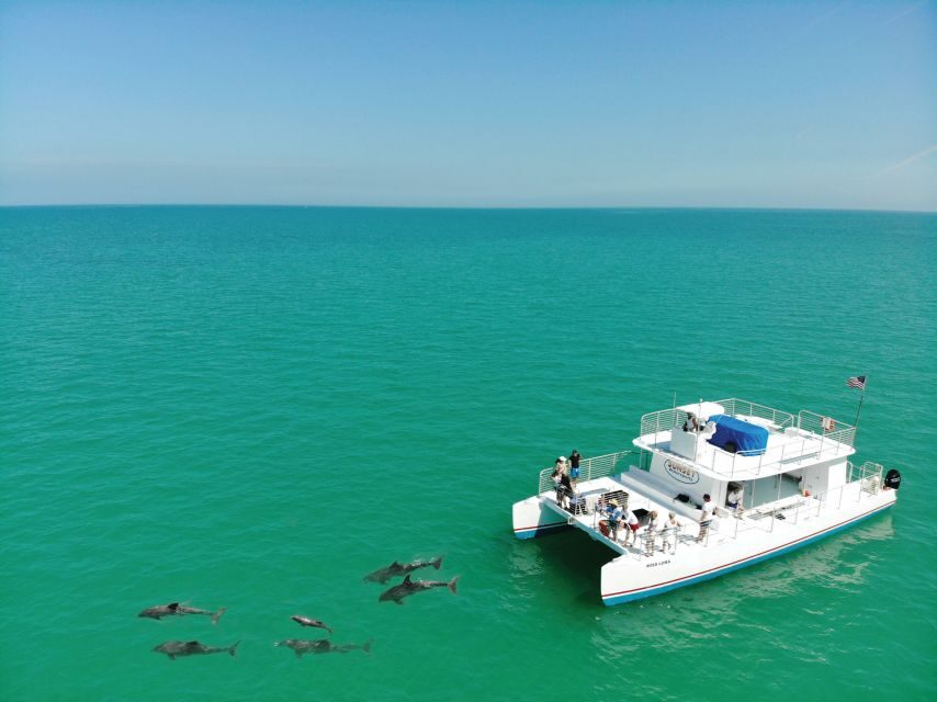 Key West: Dolphin Watching and Snorkeling Sunset Cruise - Snorkeling at Cottrell Key: reef time, fish chances, and a quick reality check