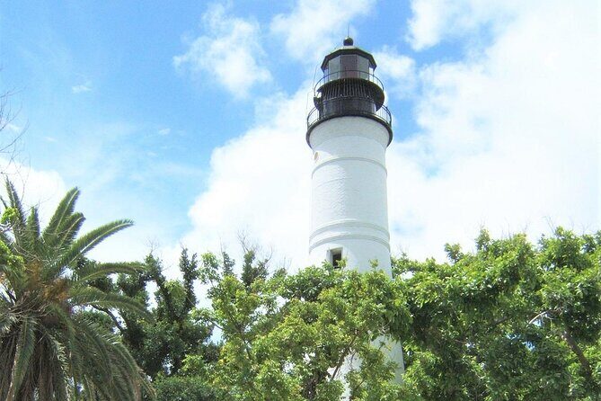 Key West: Dolphin Watching cruise & Snorkeling unlimited beer & soda - Dolphin Watching and Snorkeling on a 55-Foot Gold Coast Yacht