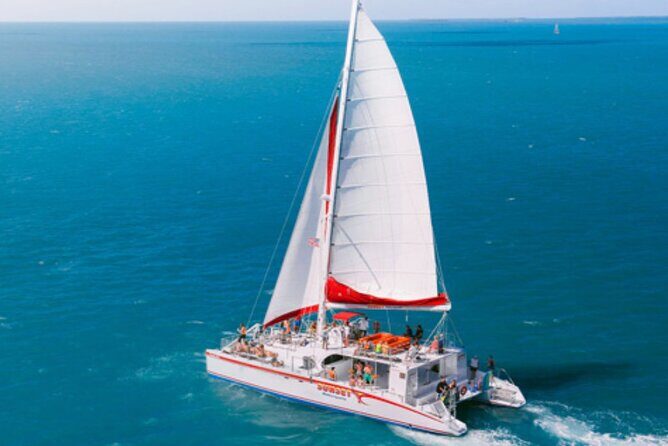 Key West: Dolphin Watching cruise & Snorkeling unlimited beer & soda - Historic Seaport Pier and the Lighthouse Pass: Quick Stops with Real Meaning