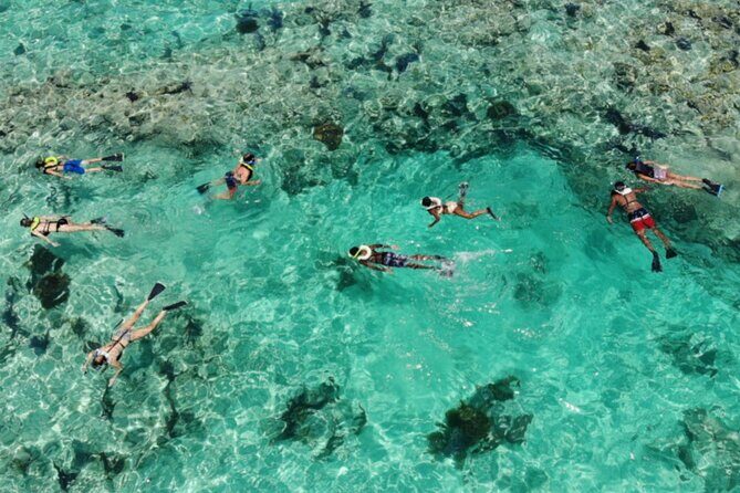 Key West: Dolphin Watching cruise & Snorkeling unlimited beer & soda - Unlimited Beer, Soft Drinks, Two Restrooms, and a Comfort-First Timeline