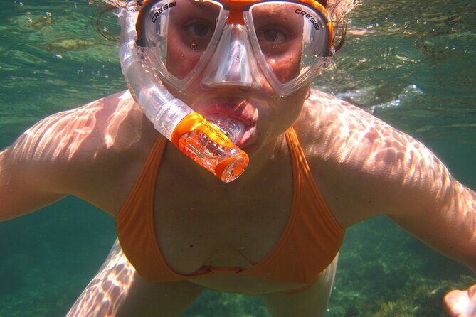 Key West: Dolphin Watching cruise & Snorkeling unlimited beer & soda - Who Should Book This Cruise, and Who Might Want Another Option