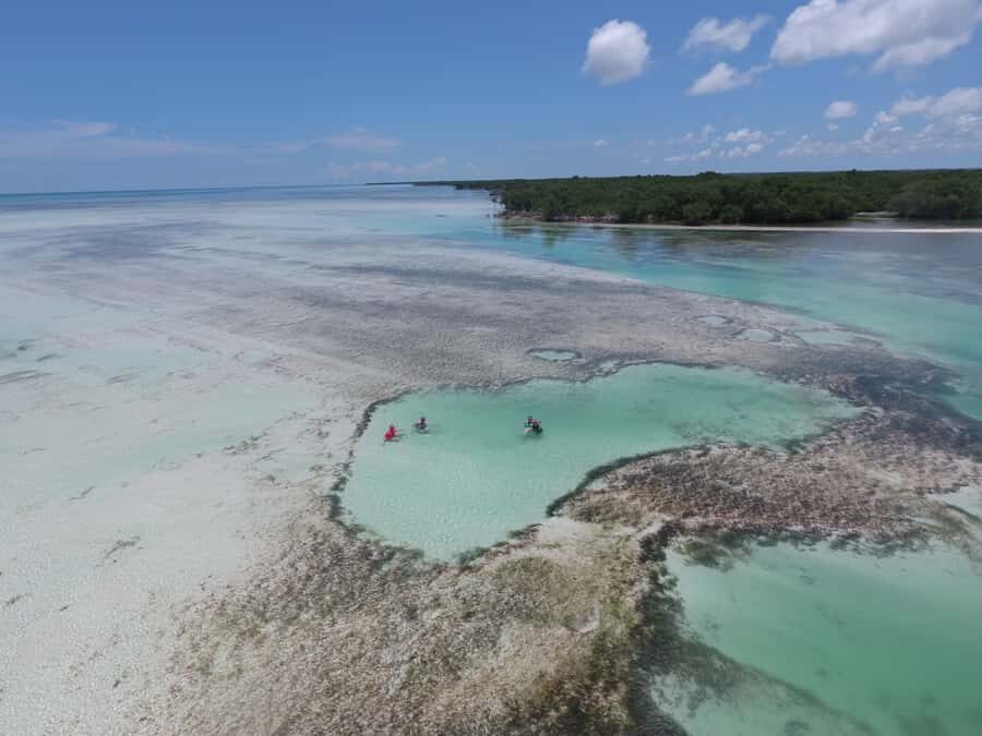Key West: Eco Safari Sandbar Tour with Snorkeling - What to pack and know before you go