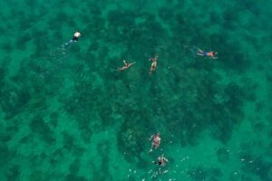 Key West Full-Day Ocean Adventure: Kayak, Snorkel, Sail - Kayaking under mangroves: the quiet wildlife angle