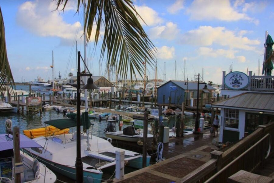Key West: Hemingway's Life and Local Food Walking Tour - Starting at Hemingway House, then getting your bearings on foot