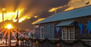 Key West: Hemingway's Life and Local Food Walking Tour - Three tastings that power your walk before the history