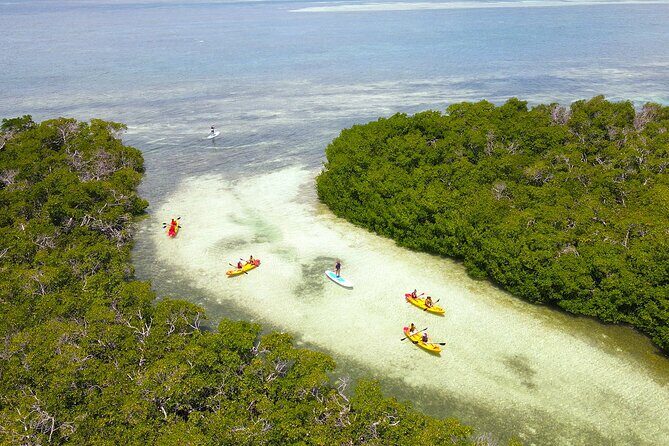 Key West Hidden Sanctuary Mangrove Kayak Tour With Drinks - Why this tour works better than a simple sightseeing cruise