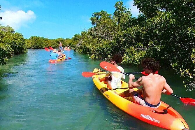 Key West Hidden Sanctuary Mangrove Kayak Tour With Drinks - Key points to know before you go