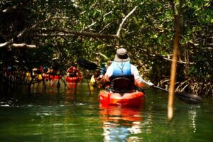 Key West Hidden Sanctuary Mangrove Kayak Tour With Drinks - Florida Keys National Marine Sanctuary: where wildlife is the plan